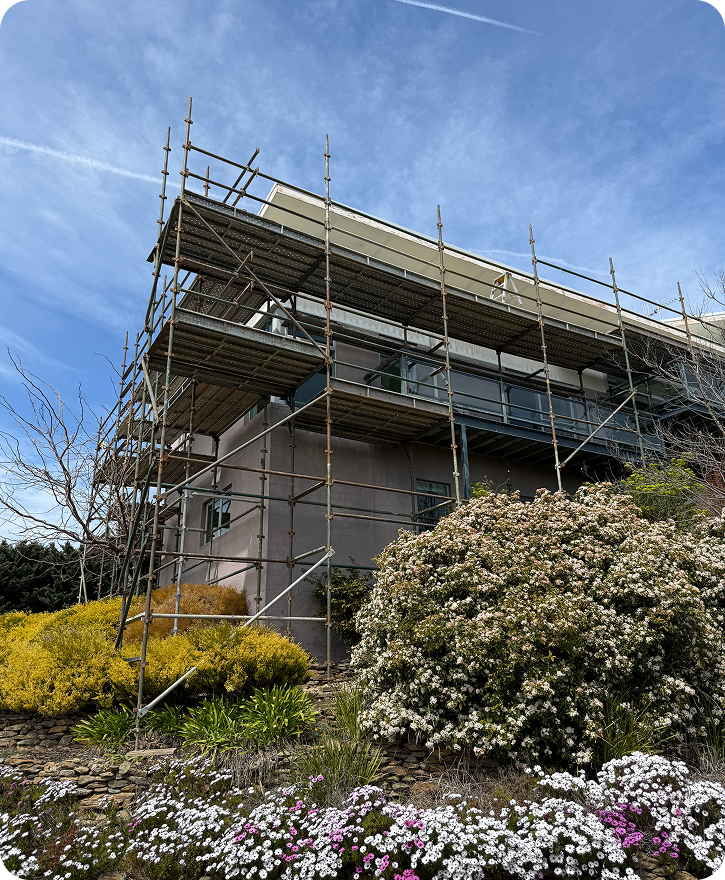 Scaffolding surrounding a building under renovation, with vibrant flowering plants in the foreground, illustrating C&C Painting Group's property improvement services in Canberra.